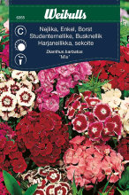 Studenternellike mix